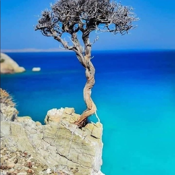 Laplagia ❤️ My Beautiful Greek Island - Picture 5 of 15